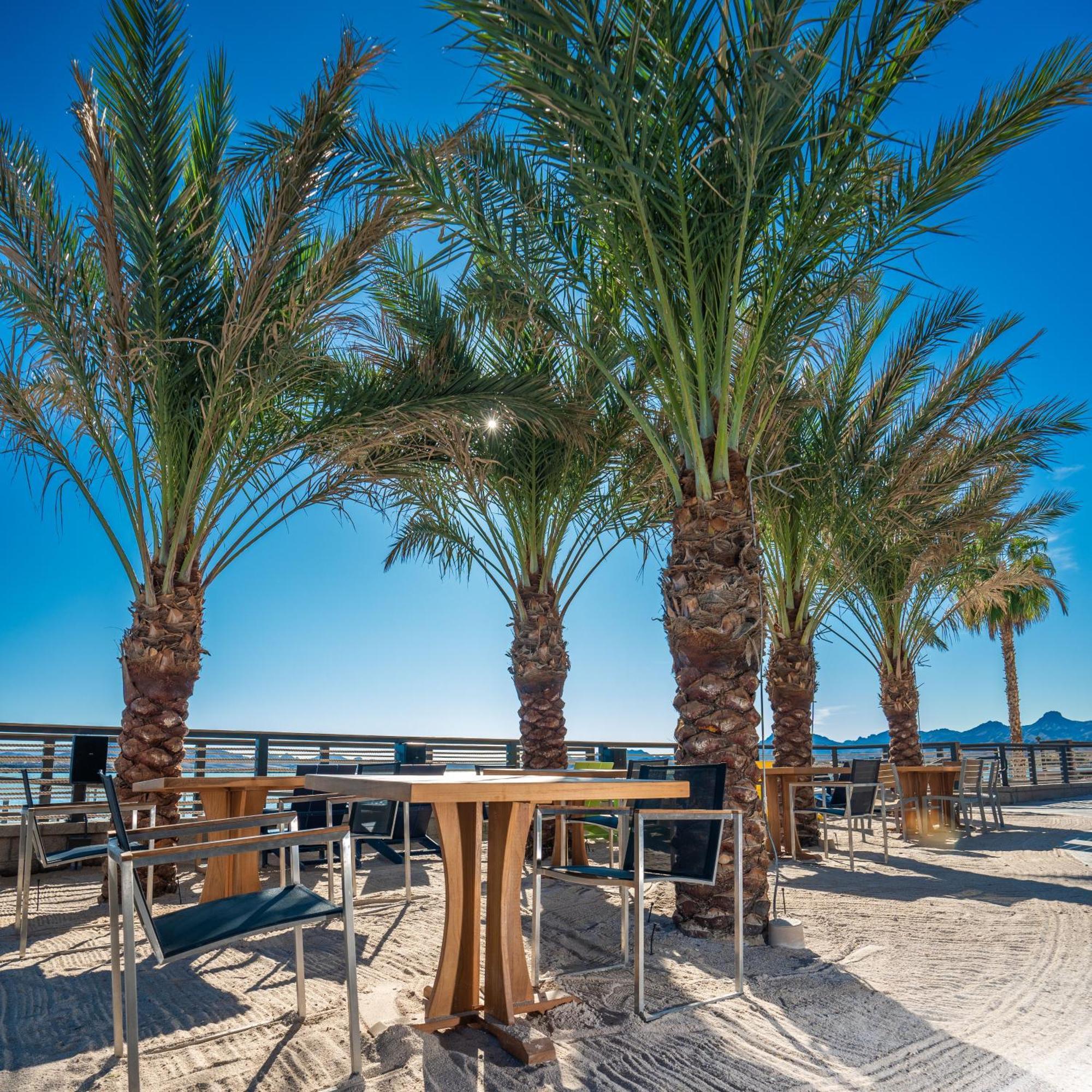 The Nautical Beachfront Resort Lake Havasu City Buitenkant foto
