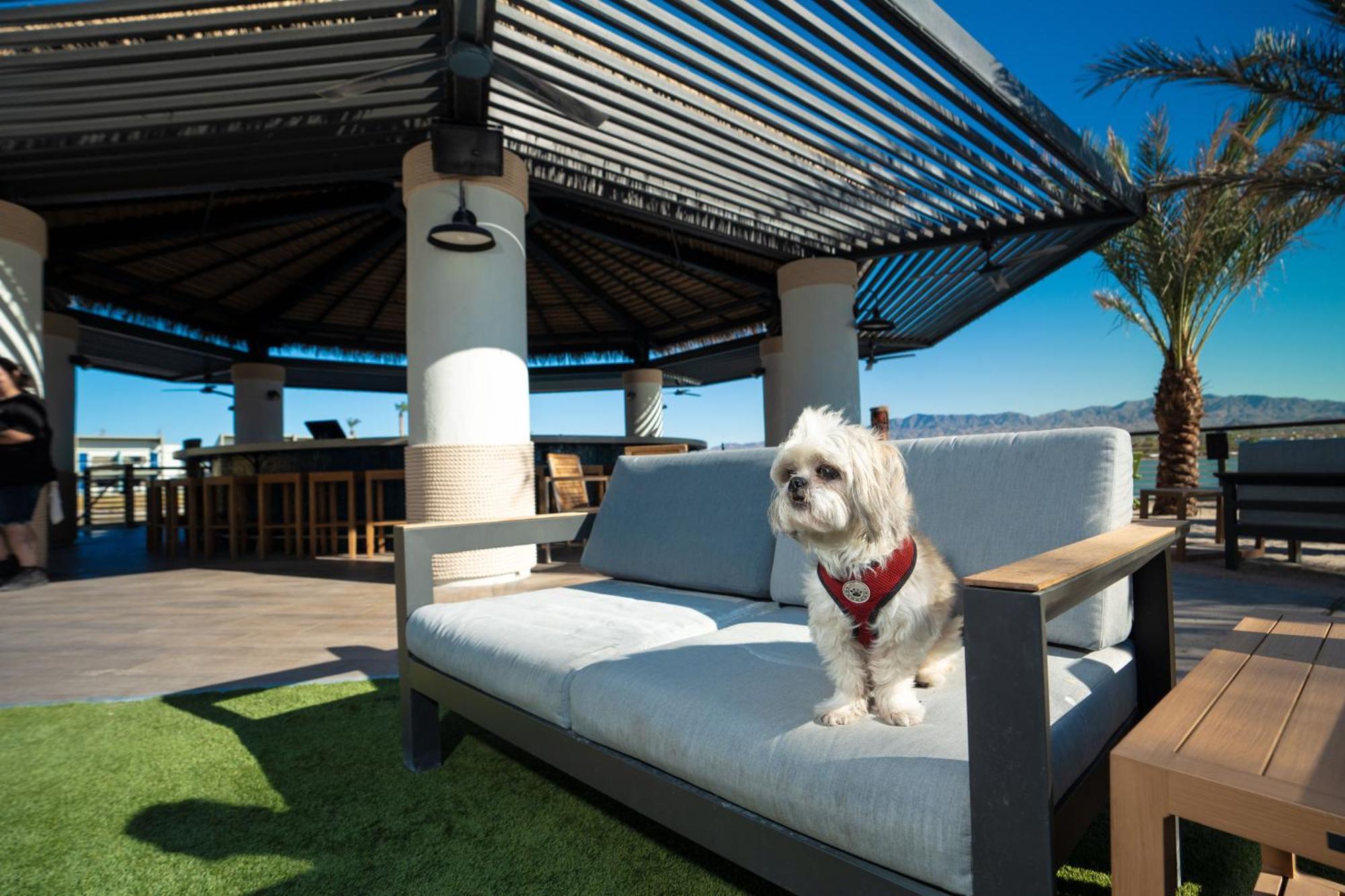 The Nautical Beachfront Resort Lake Havasu City Buitenkant foto